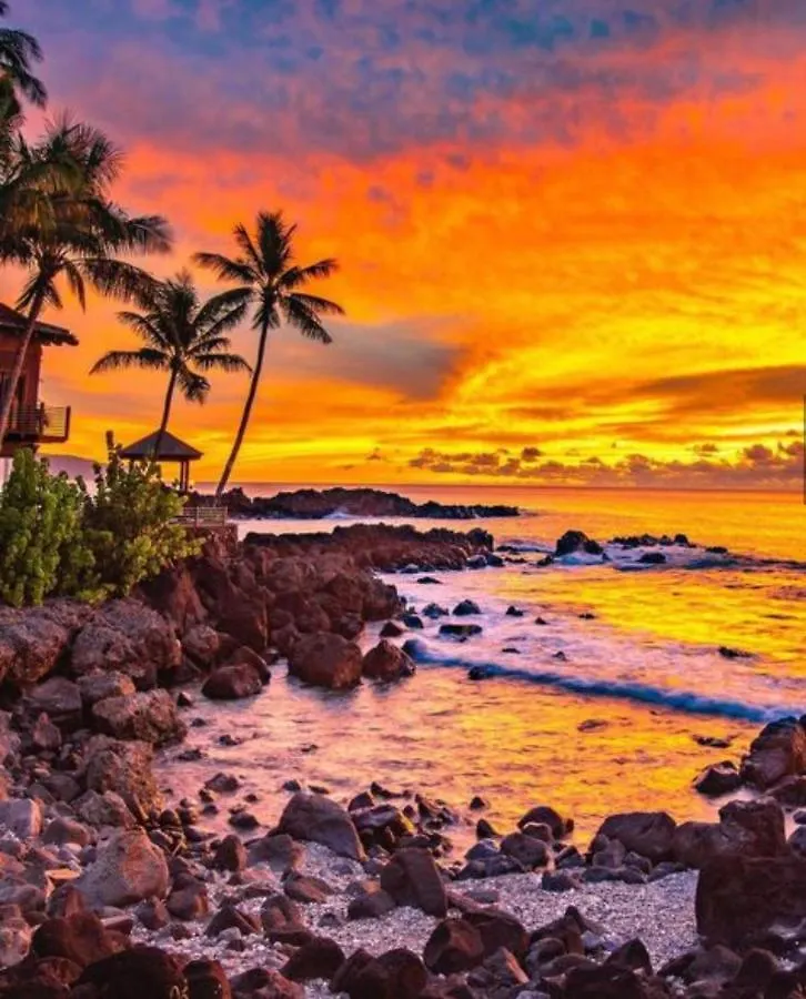 Отель Cute Off Grid Glampsite With Wifi- 5 Min From Haleiwa Town